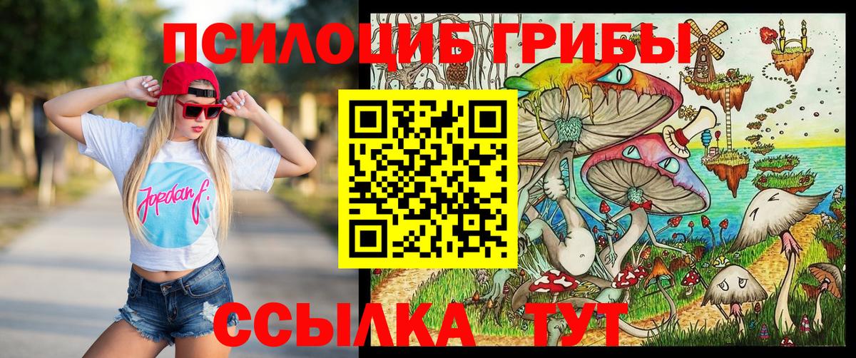 Касимов  Псилоцибиновые грибы Magic Shrooms  Вход с VPN 